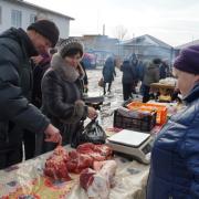 Ярмарка «Продовольственное раздолье»