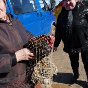 23 апреля 2016г в п.Абан состоялась ярмарка «Продовольственное раздолье»