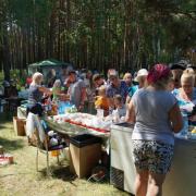 12.06.2016 п.Абан, парк "Горка", День России