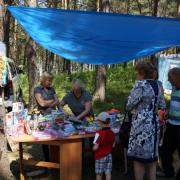 12.06.2016 п.Абан, парк "Горка", День России