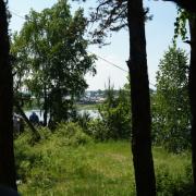 12.06.2016 п.Абан, парк "Горка", День России