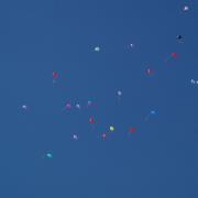 7.11.2016г торжественный митинг п.Абан 