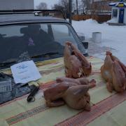 2016г п. Абан ярмарка Продовольственное раздолье
