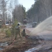 Подача распылённой струи с помощью переносного лафетного ствола  в лесной массив.